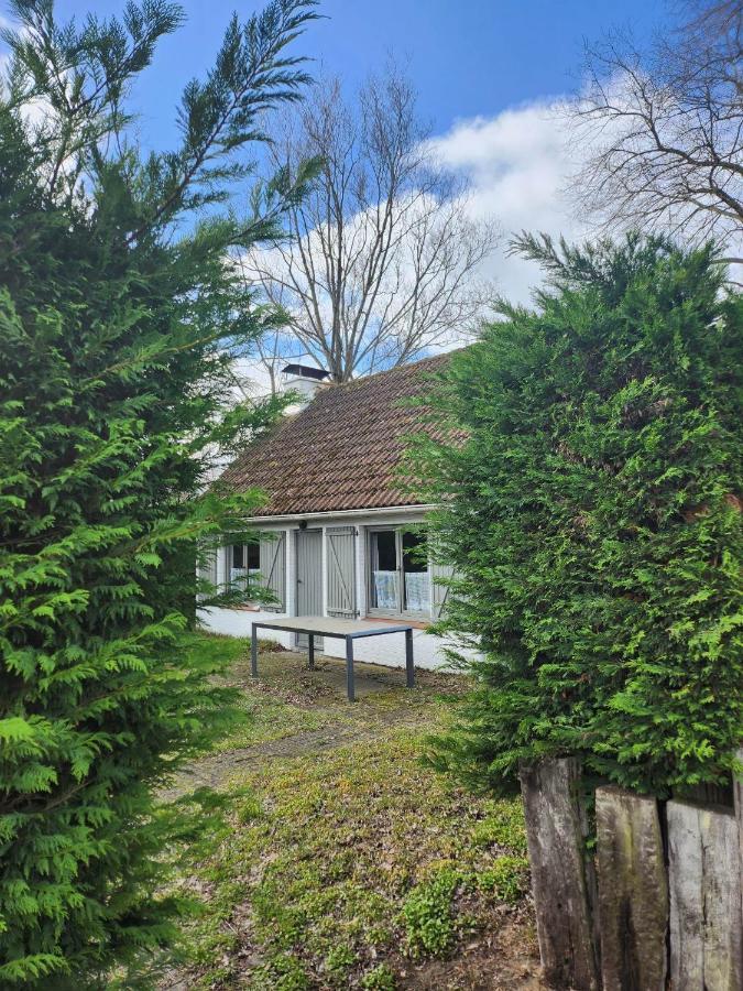 Maison Sunpark Oostduinkerk 550 Villa Koksijde Luaran gambar